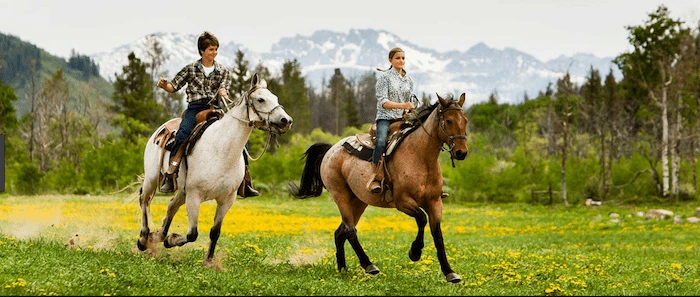 Confident plus-size woman riding Hampshire a horse through a field with a smile on her face.